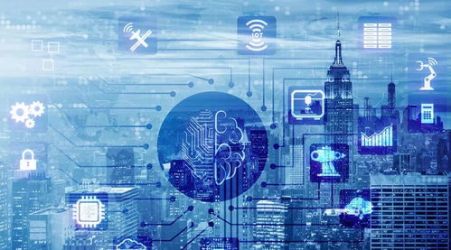 數字中國建設新篇章 網民規(guī)模突破8億，數字經濟規(guī)模超31萬億元